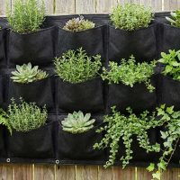 wall planter